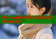 糖心vlog揭秘国产网红背后的真实生活与成长故事