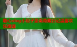 糖心vlog小包子圣诞奇趣日记温馨欢乐满满