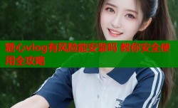 糖心vlog有风险能安装吗 教你安全使用全攻略