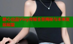 糖心出品Vlog传媒全景揭秘与未来发展展望