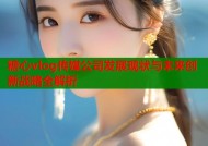糖心vlog传媒公司发展现状与未来创新战略全解析