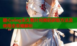 糖心vlog永久看片兑换码获取方法及使用全攻略解析