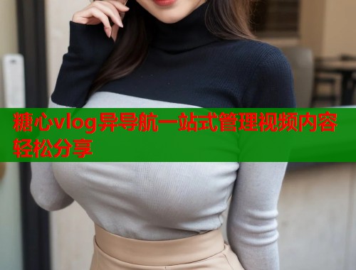 糖心vlog异导航一站式管理视频内容轻松分享  第1张