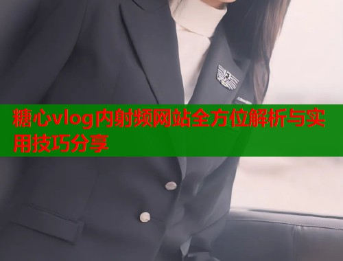 糖心vlog内射频网站全方位解析与实用技巧分享  第1张